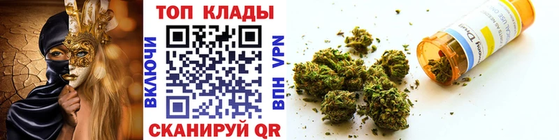 Где продают наркотики Гаджиево A PVP  ссылка на мегу маркетплейс  Псилоцибиновые грибы  МАРИХУАНА  ГАШ  Мефедрон  Cocaine 