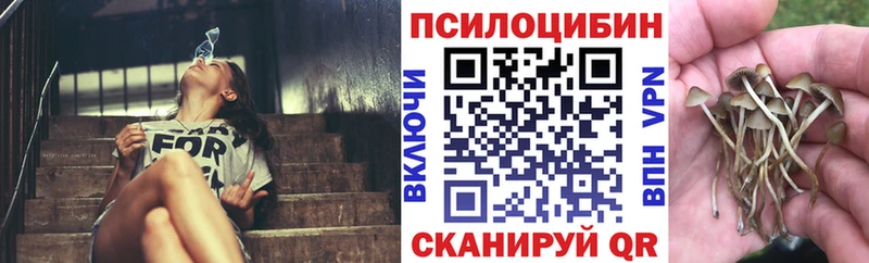 Галлюциногенные грибы GOLDEN TEACHER  хочу   Гаджиево 