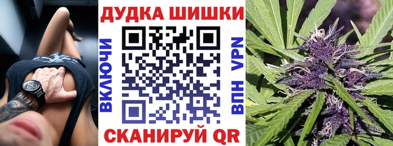 Бошки марихуана White Widow  купить наркоту  Гаджиево 